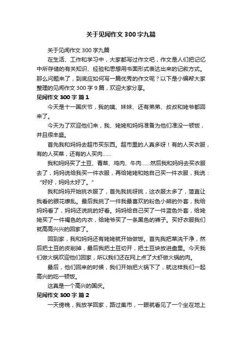 关于见闻作文300字九篇