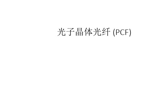 光子晶体光纤 (PCF)