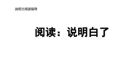 说明文阅读指导 阅读：说明白了(课件)