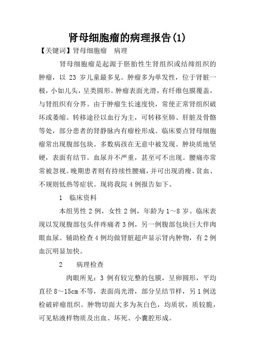 肾母细胞瘤的病理报告(1)