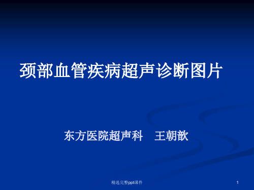 全系颈动脉疾病B超诊断图解