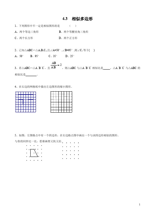 北师大版九年级数学4.3  相似多边形2(含答案)