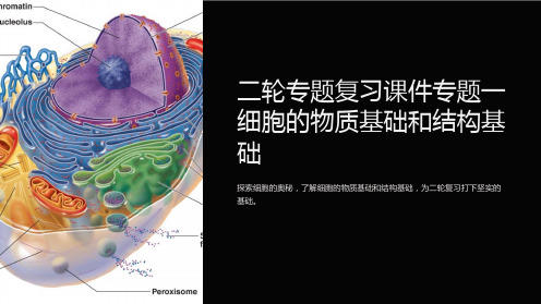 二轮专题复习课件专题一细胞的物质基础和结构基础