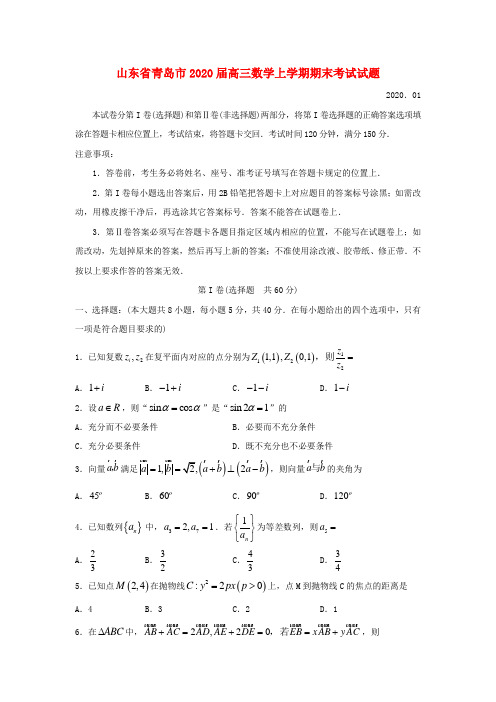 山东省青岛市2020届高三数学上学期期末考试试题