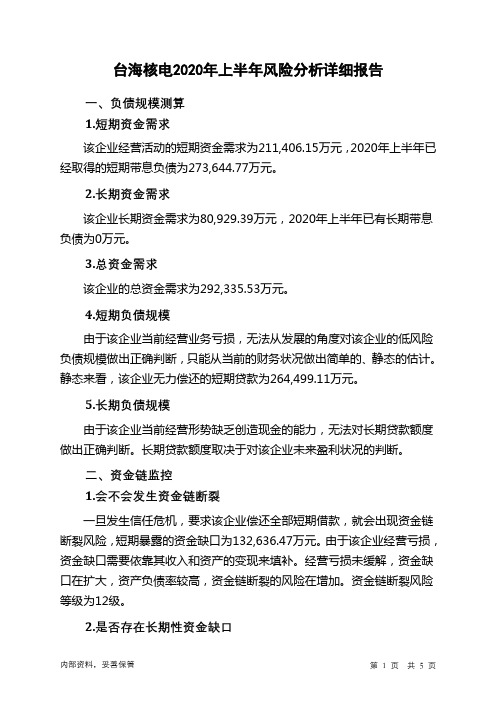 台海核电2020年上半年财务风险分析详细报告