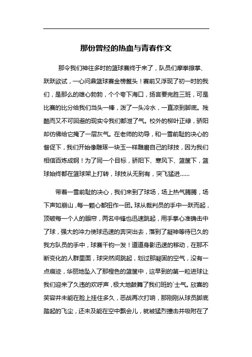 那份曾经的热血与青春作文