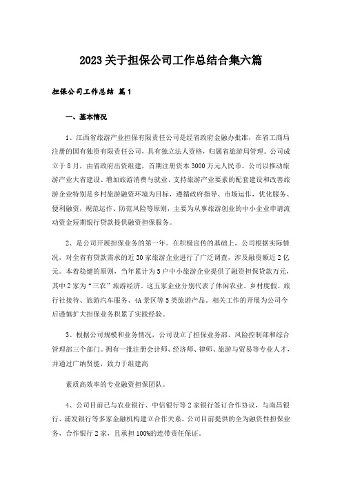 2023关于担保公司工作总结合集六篇