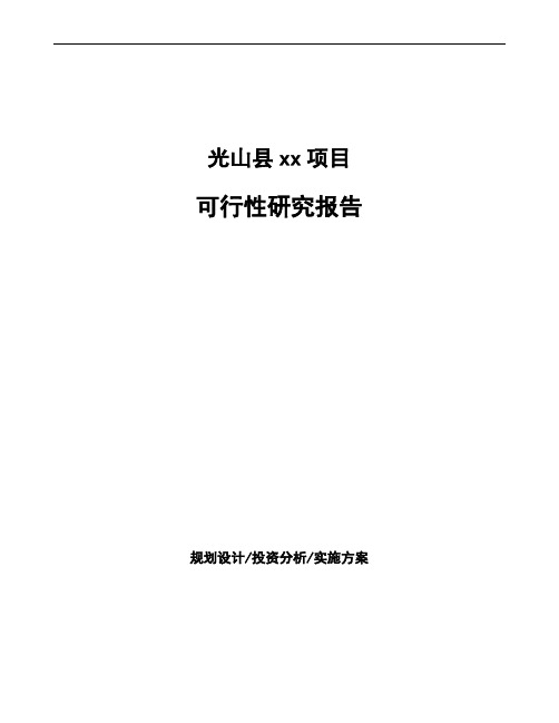 光山县项目可行性研究报告