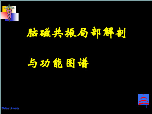 脑磁共振局部解剖与功能图谱