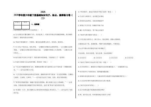 六年级下册语文试题-基础知识句子、标点、修辞练习卷(二)人教(部编版)含答案