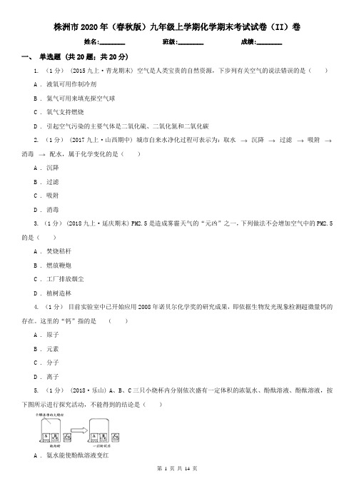 株洲市2020年(春秋版)九年级上学期化学期末考试试卷(II)卷