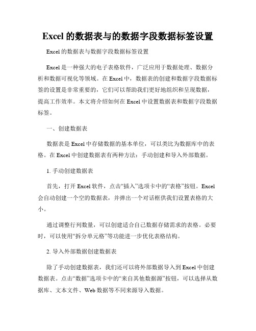 Excel的数据表与的数据字段数据标签设置