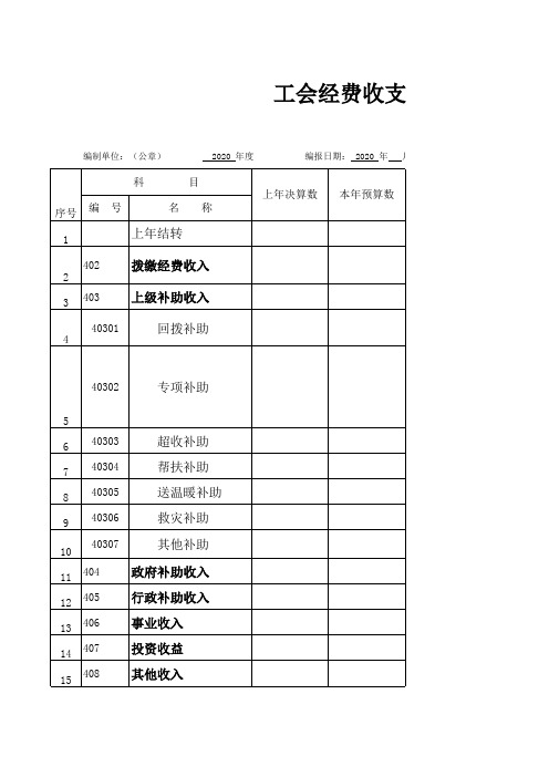 2020工会经费收支预算表