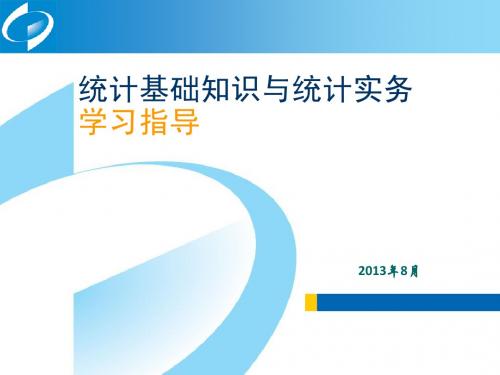 2013年统计基础与统计实务学习指导培训