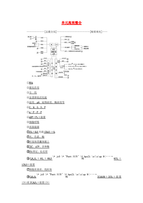 2018版高三生物一轮复习 第3单元 单元高效整合讲义 新人教版必修1