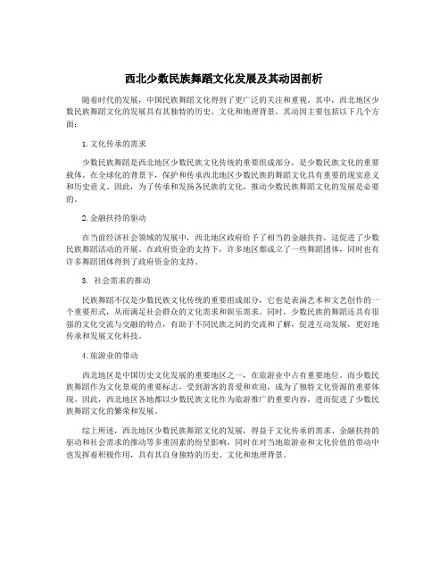 西北少数民族舞蹈文化发展及其动因剖析