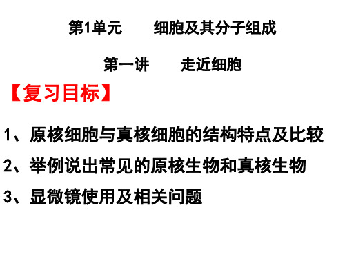 第1单元细胞及其分子组成   第一讲  走近细胞