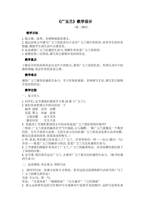 六年级下册语文教案-《18.广玉兰》 苏教版