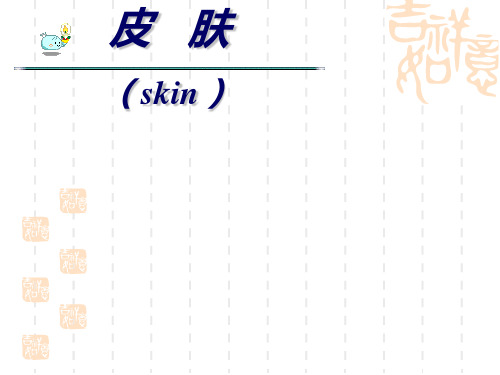 组织学与胚胎学：第11章 皮肤