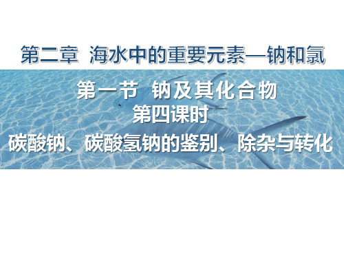 碳酸钠、碳酸氢钠的鉴别、转化与除杂  课件  高一上学期化学人教版(2019)必修第一册