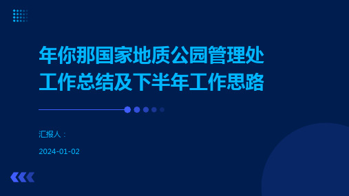 年你那国家地质公园管理处工作总结及下半年工作思路