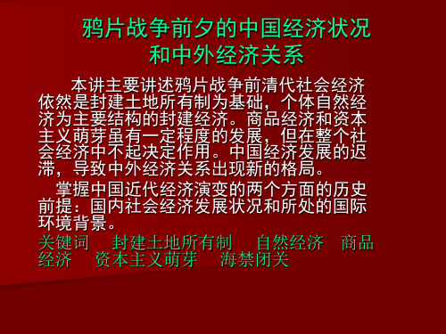 第四讲鸦片战争前夕的中国经济状况