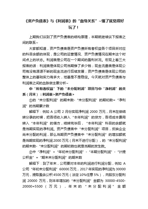 《资产负债表》与《利润表》的“血缘关系”~懂了就觉得好玩了！