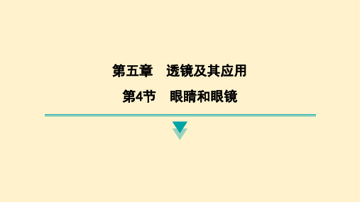 眼睛和眼镜课件 2024-2025学年人教版(2024)物理八年级上册