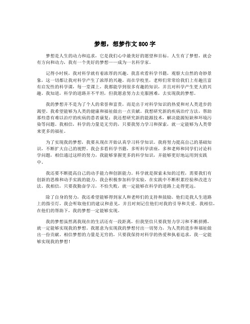 梦想,想梦作文800字