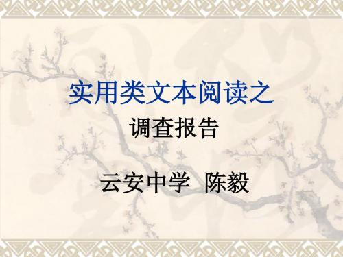 高考语文 调查报告文本阅读理论课件