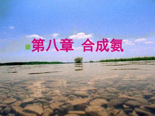 化工工艺学课件合成氨05b