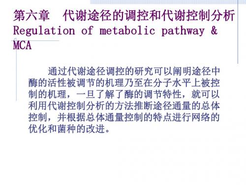 第6章增加的内容-代谢途径的调控.