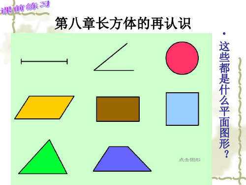 上海初中数学8.1长方体的元素