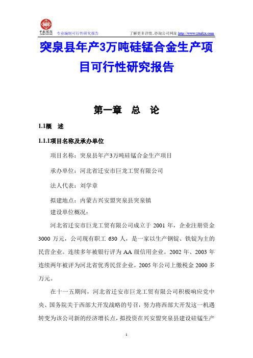 突泉县年产3万吨硅锰合金生产项目可行性研究报告