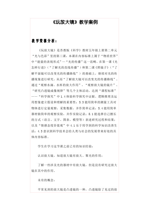 《玩放大镜》教学案例 Microsoft Word 文档