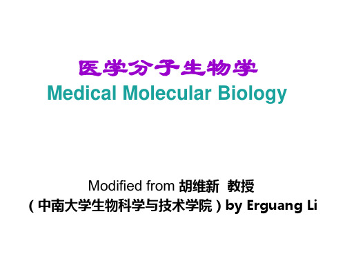 医学分子生物学 中南大学课件.ppt