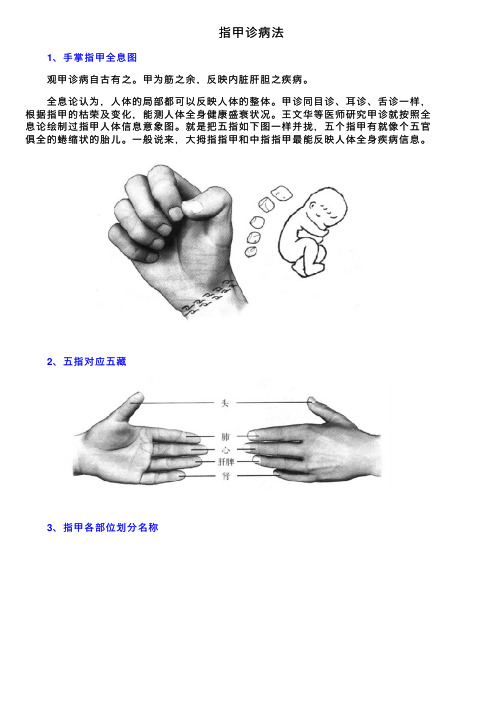 指甲诊病法——精选推荐