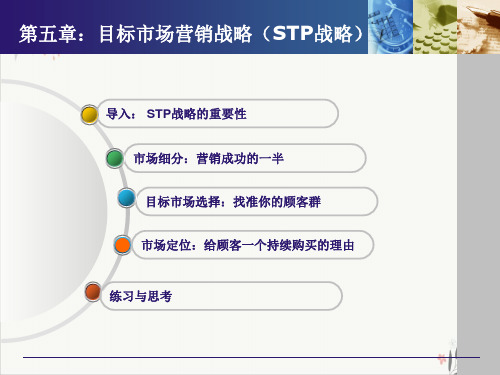 目标市场营销战略STP战略PPT课件