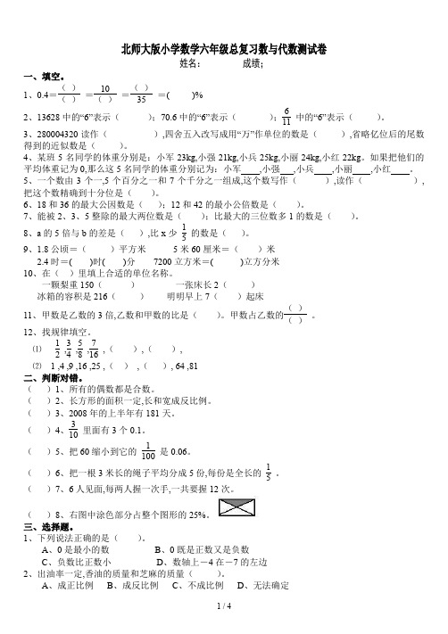 北师大版小学数学六年级总复习数与代数测试卷