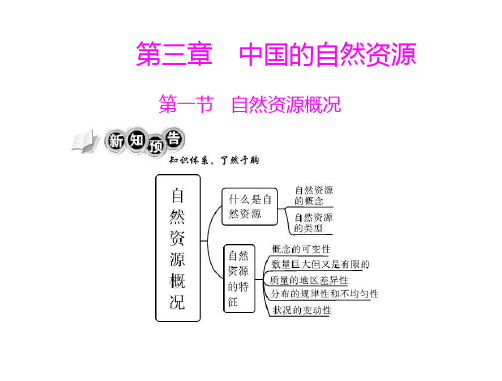 八年级地理自然资源概况