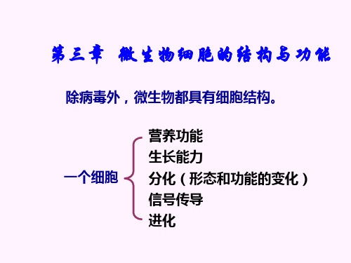 第三章__微生物细胞的结构与功能