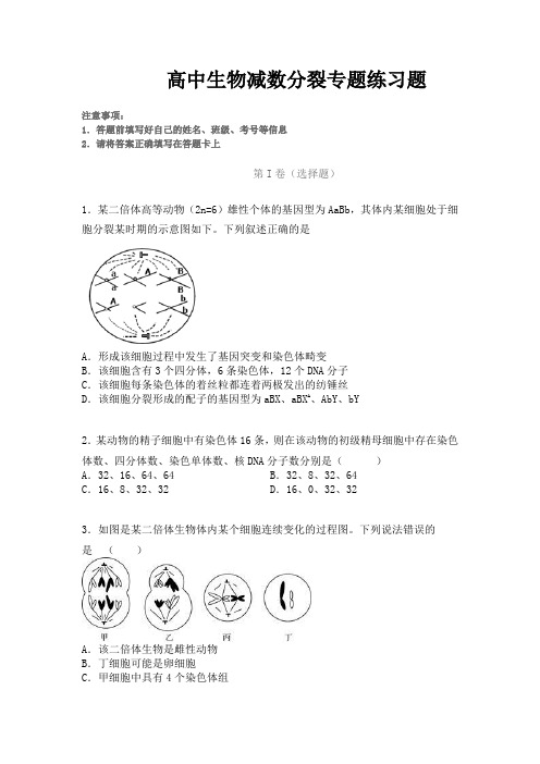 高中生物减数分裂专题练习题