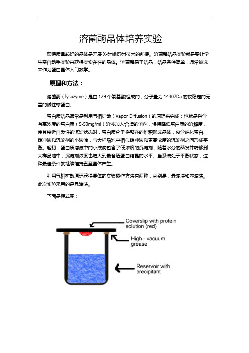 溶菌酶结晶实验的步骤及其注意事项 (1)