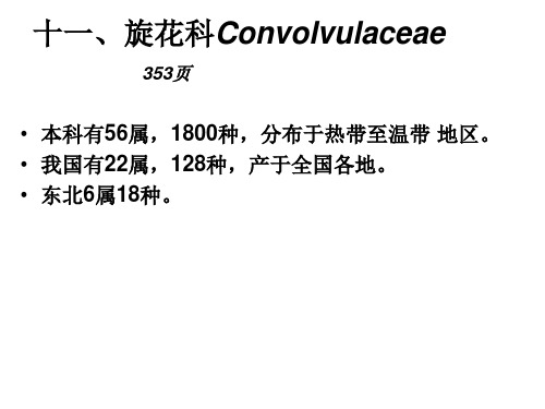 第十一章 被子植物主要分科3