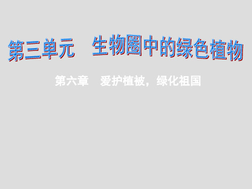 人教版初中生物七年级上册 3.6 爱护植被 绿化祖国  课件 (共38张PPT)