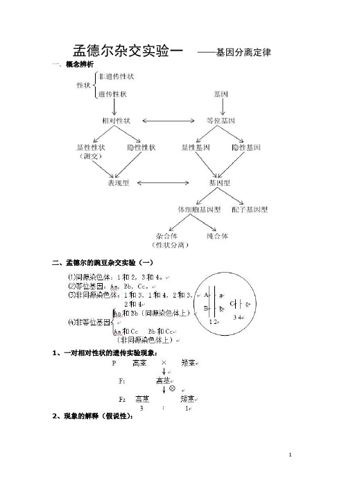 孟德尔杂交实验一基因分离定律