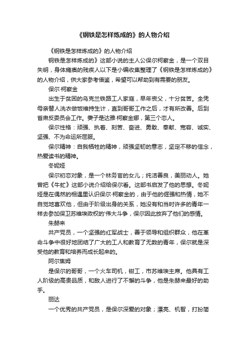 《钢铁是怎样炼成的》的人物介绍