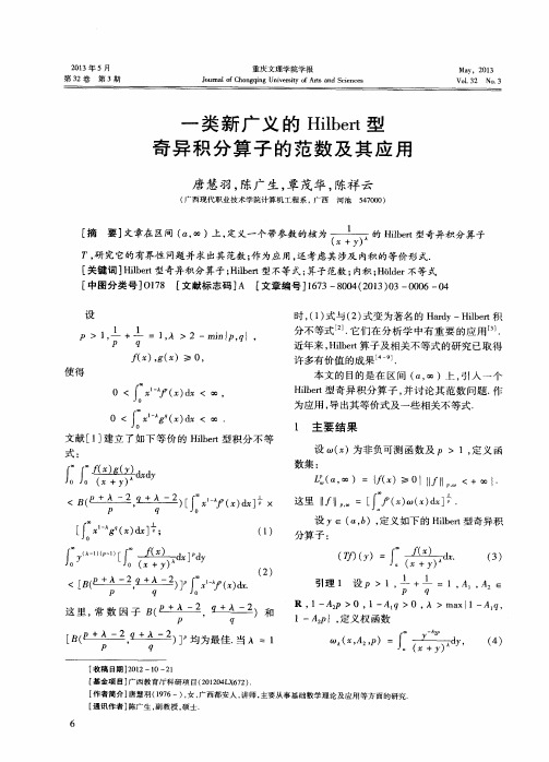 一类新广义的Hilbert型奇异积分算子的范数及其应用