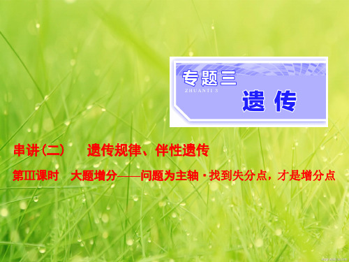 (全国通用)2019年高考生物复习课件 专题三 遗传 串讲二 遗传规律、伴性遗传 第3课时 大题增分课件