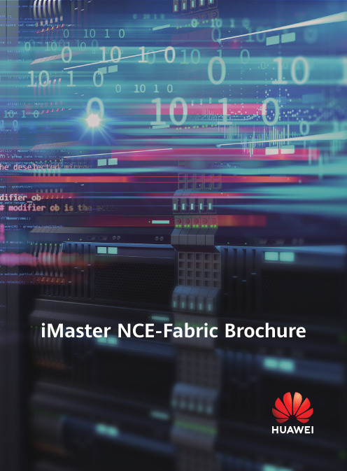 iMaster NCE-Fabric 01 产品说明书